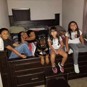 Meet your Posher, Manny